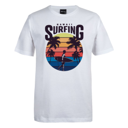 Sunset Surf Vibes: Hawaii Surfing Graphic Tee